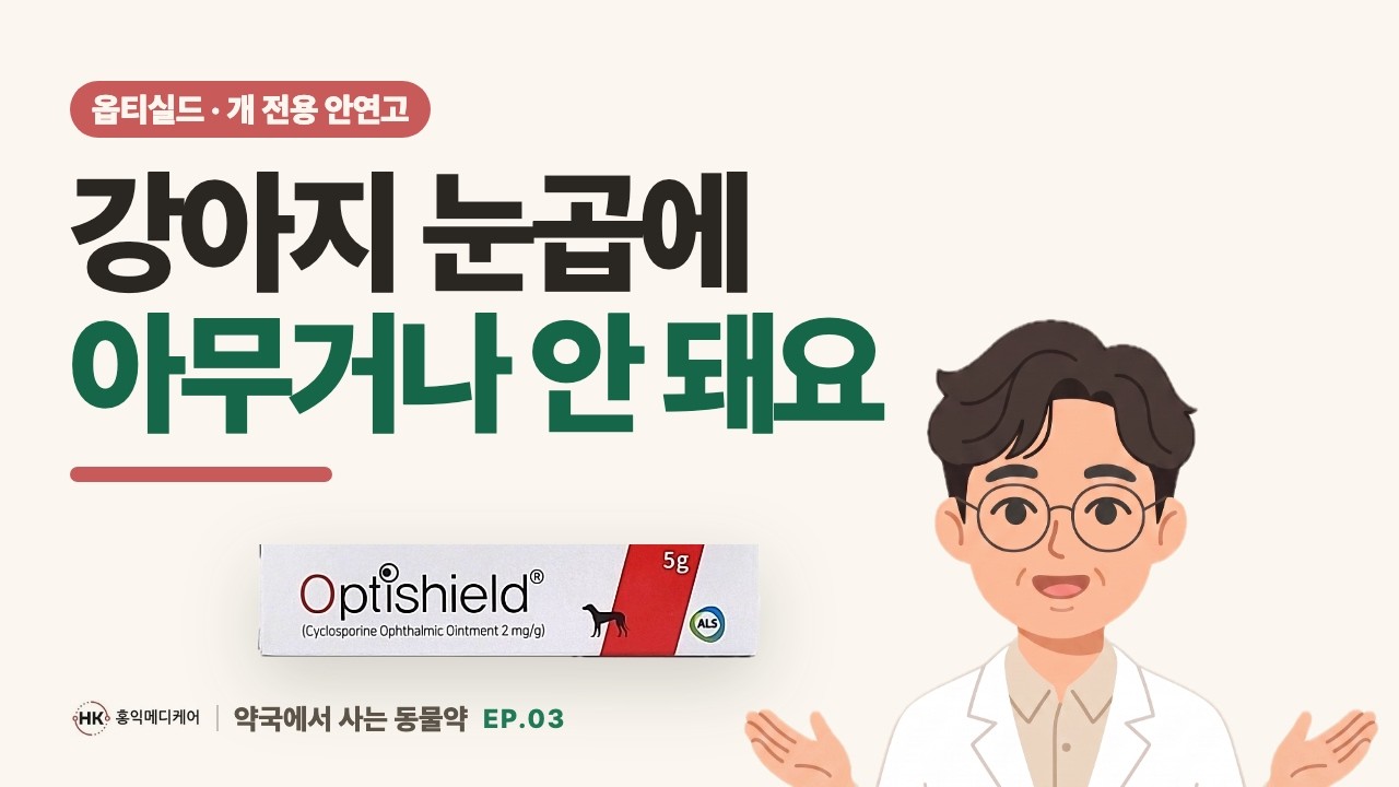 강아지 건성각결막염 안연고 옵티실드 판매하는 약국 알려드려요~