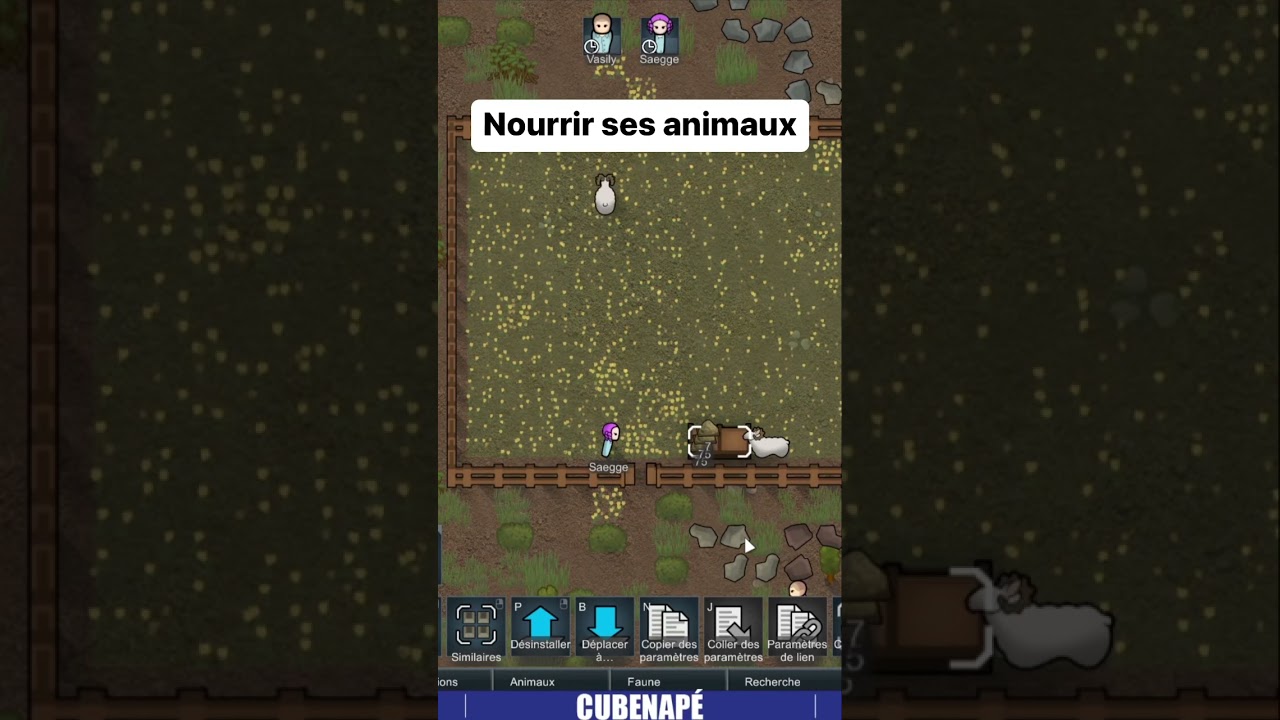 NOURRIR SES ANIMAUX végétariens dans 