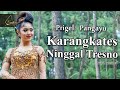 Prigel Pangayu - Karangkates Ninggal Tresno ( Official Music Video )