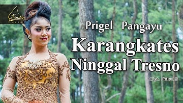 Prigel Pangayu - Karangkates Ninggal Tresno (Official Music Video)