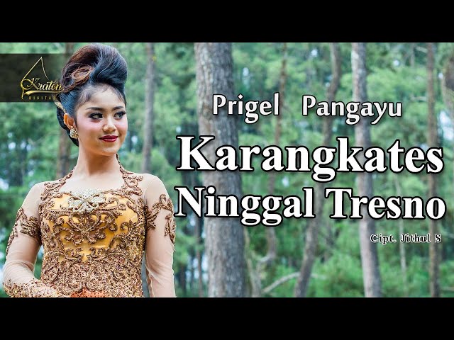 Prigel Pangayu - Karangkates Ninggal Tresno ( Official Music Video ) class=