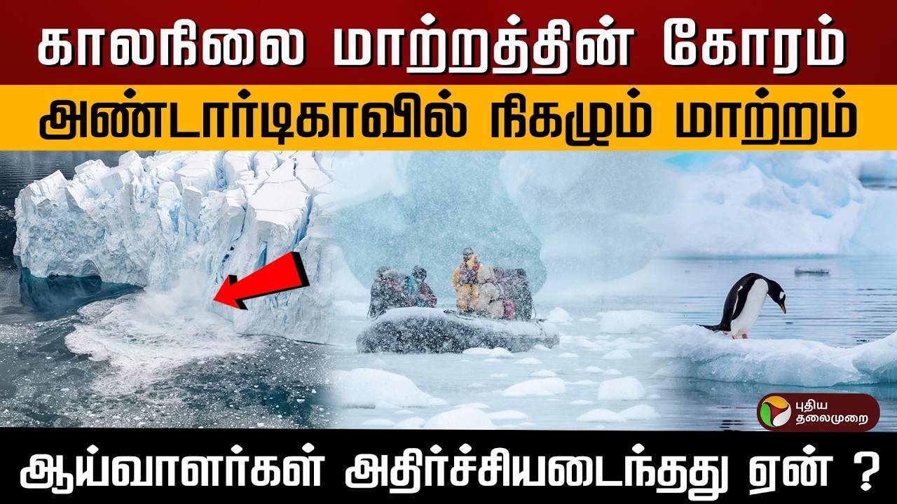 காலநிலை மாற்றத்தின் கோரம்..அண்டார்டிகாவில் நிகழும் மாற்றம்.. ஆய்வாளர்கள் அதிர்ச்சியடைந்தது ஏன் ?|PTD