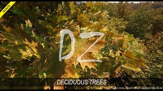 DZ Trees - Deciduous Trees (fall)