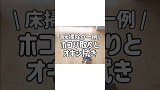 【必見】フローリングのホコリ取りとオキシクリーンで拭き掃除