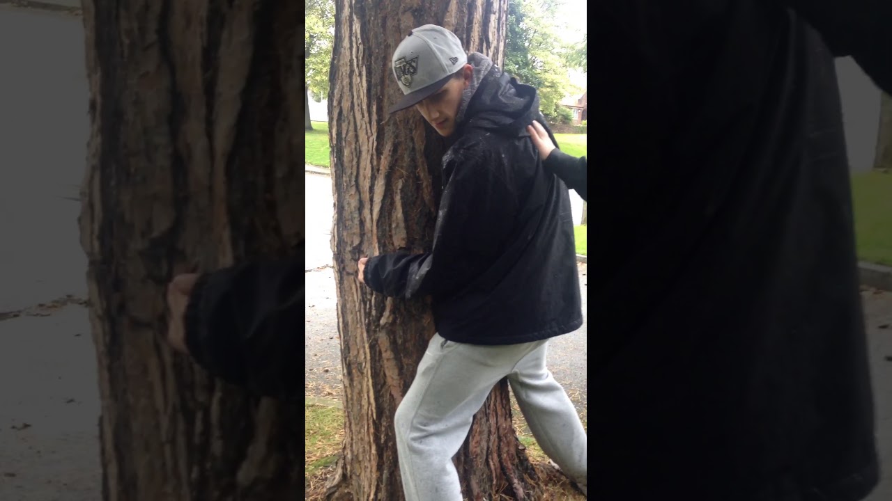 joe-fucking-a-tree-youtube