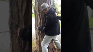 Joe fucking a tree