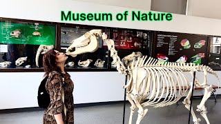 Muzeum Przyrodnicze We Wrocławiu