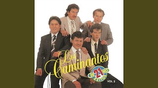 Video thumbnail of "Los Caminantes - Sólo los Tontos"