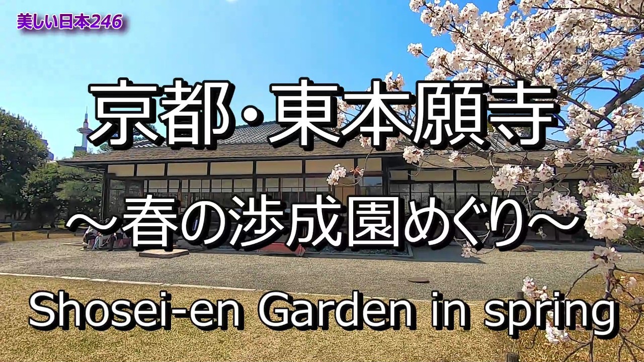 京都・東本願寺 ～春の渉成園～ Higashi Honganji Temple, Kyoto - Shosei-en Garden in Spring