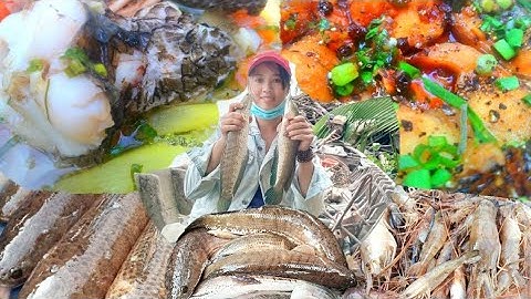 bữa cơm không đồng cá lóc đồng nấu canh chua bạc hà với cá kho tiu/BCMT