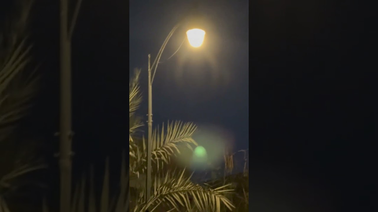 Eid ul fitr vibes | Eid Mubarak celebration | Islamic festival vibes | Night vibes