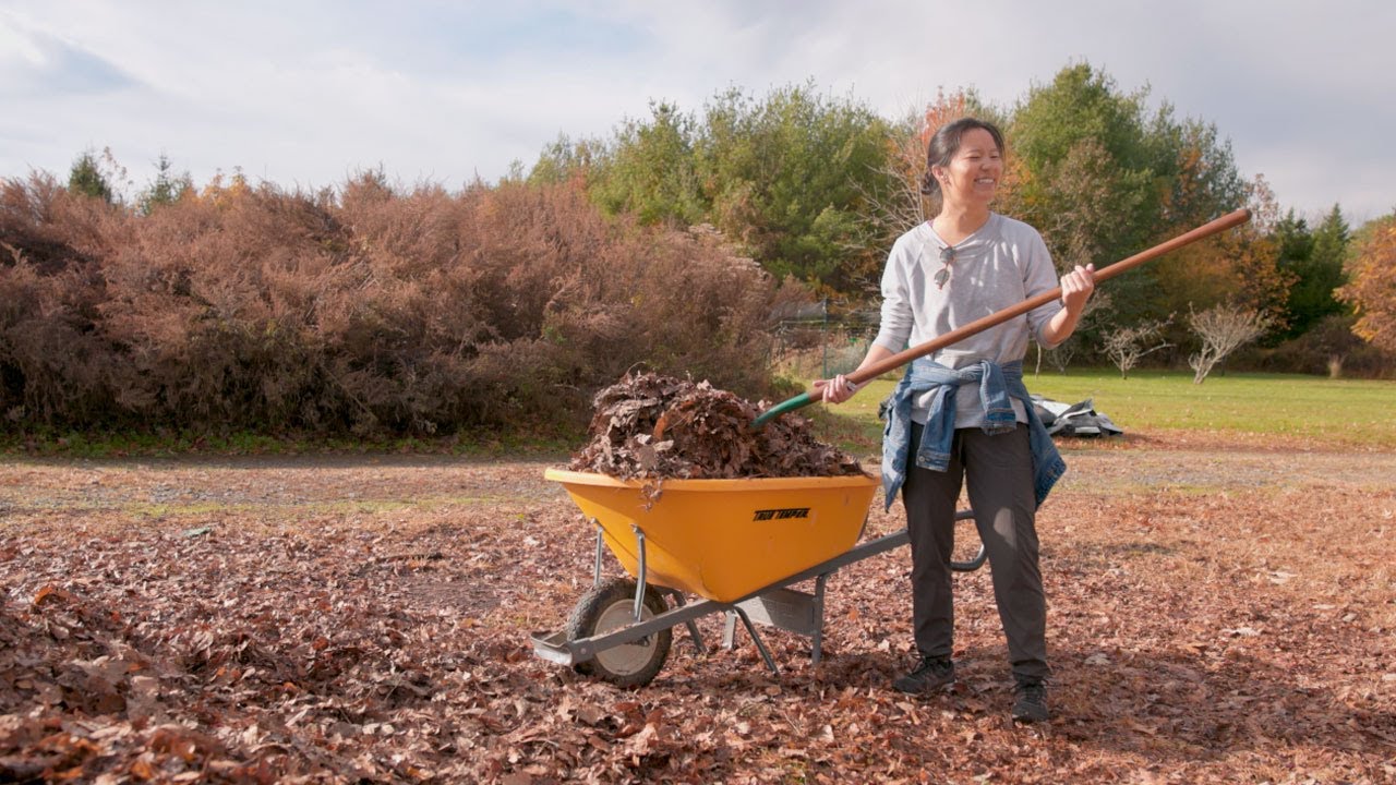 MTE Admissions Video