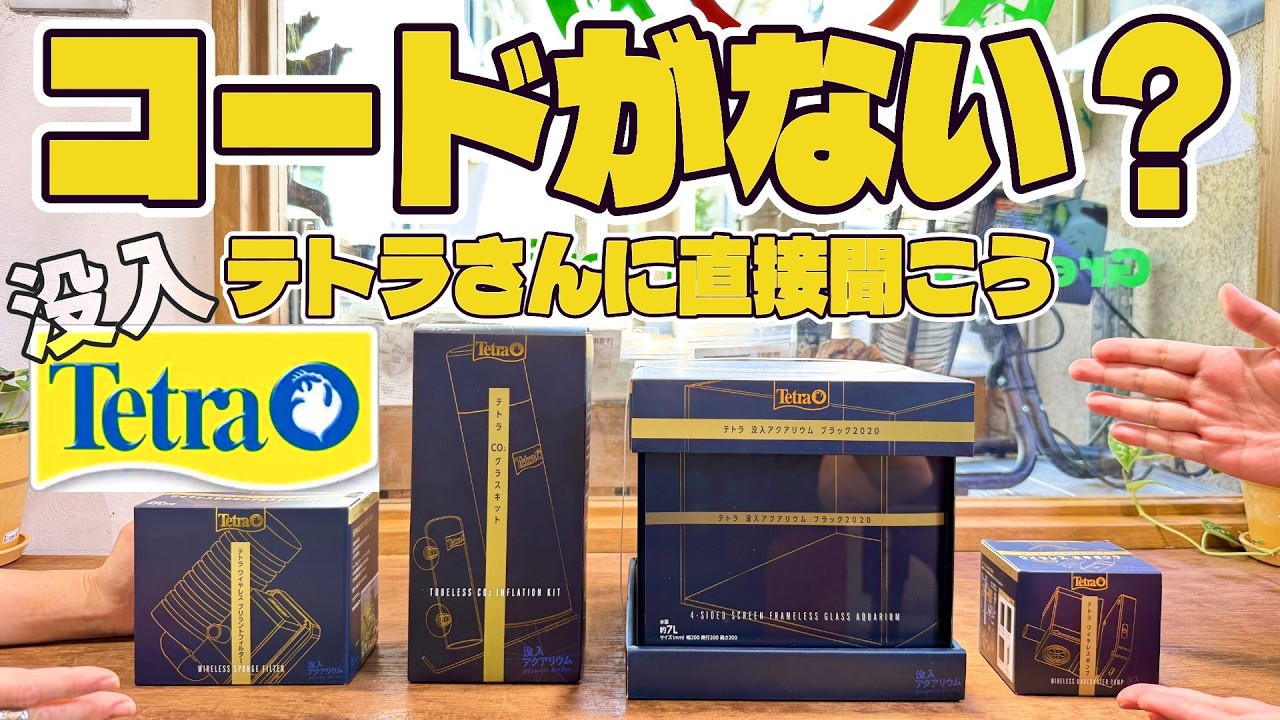【アクアリウム】コードが無い？テトラさんに直接説明してもらいました（没入アクアリウムの開発秘話や使い方を全部聞いてみた）