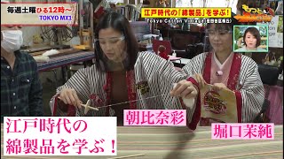 お江戸に恋して【江戸時代の綿製品(2020/11/14 OA)】