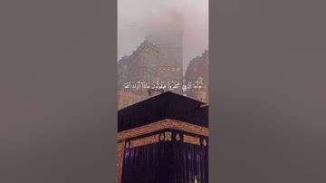 سورة البقرة القارى الشيخ نايف مبارك الهزيمي من 1-42 تلاوه خاشعه ورائعة