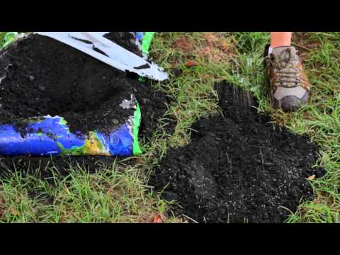 How To Repair Yard Sinkholes Designed Landscapes Youtube