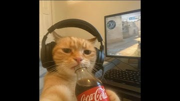 Rust Highlights #1337 I ft.kowix