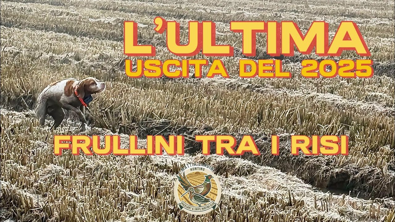 A Caccia di Frullini Tra i Risi | L’ultima Cacciata Del 2025