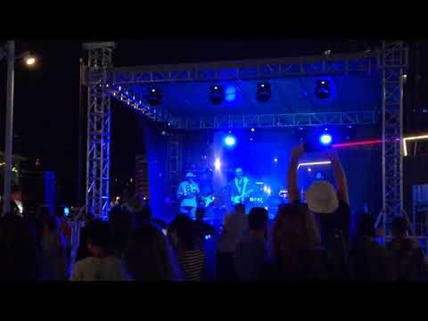 მონოპლანი