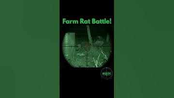 Night Vision Rat Hunt 🎯– Caught in Total Silence 🐭 #nightvision #nighthunt #pov