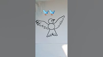 How to draw birds #art #birds #bird #drawing #draw