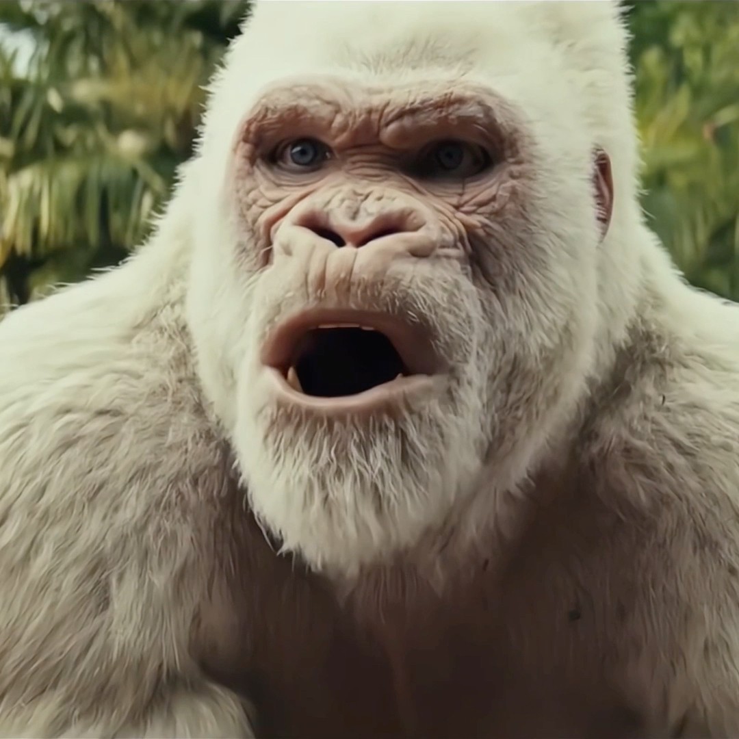 DERRUBOU O OUTRO MACACO NA LAMA #shorts #comedia #humor