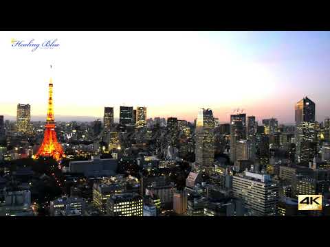 00 TokyoTower 東京タワー　Healing Blue SHARATA