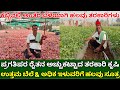            vegetable farming in kannada