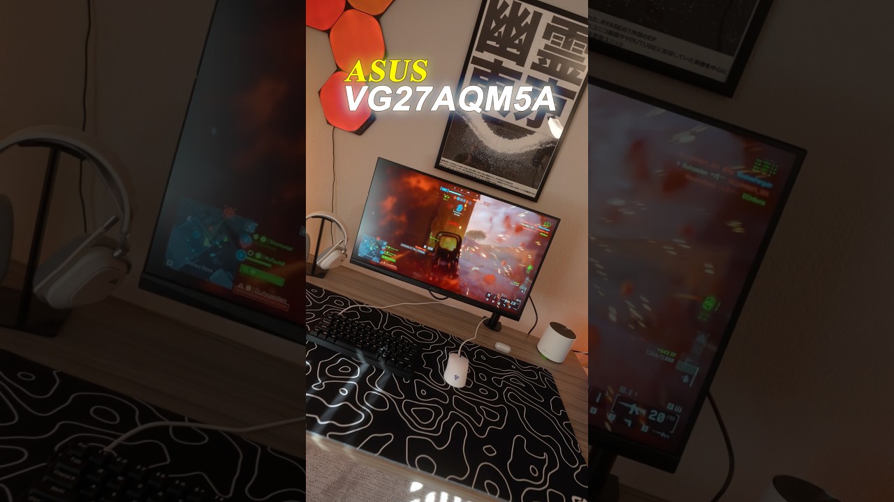 The BEST 1440p Gaming Monitor Under $300!?