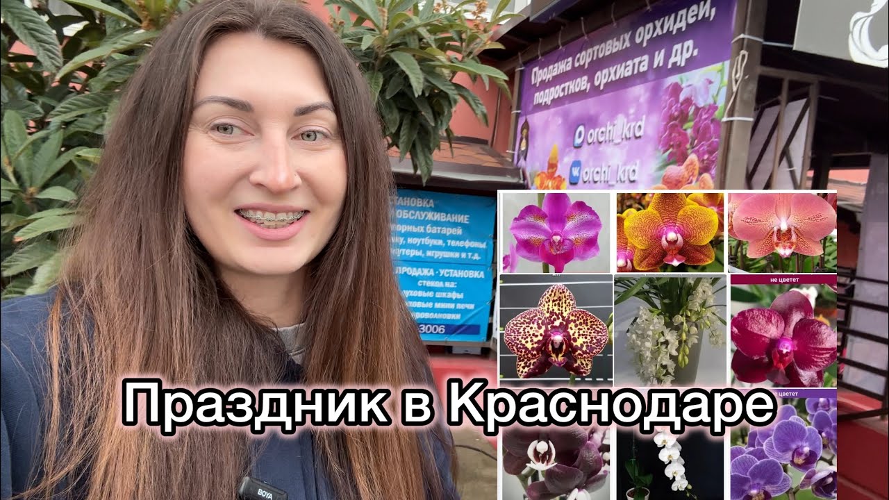 Ура! Краснодар магазин Эксклюзивных орхидей