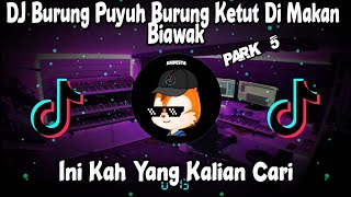 DJ Burung Puyuh Di Makan Biawak X Gasolina X panteg panteg Viral Di Tiktok FYP 🎶🎶