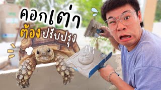 เพิ่มพื้นที่สีเขียว ปรับปรุงคอกเต่าใหม่จ้า!! 🐢