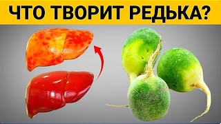 Даже одна долька ЗЕЛЕНОЙ РЕДЬКИ вызывает НЕОБРАТИМЫЕ ПРОЦЕССЫ в организме. Медики шокированы!