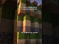 Minecraft Skyblock Sunucumuz Yenilendi...