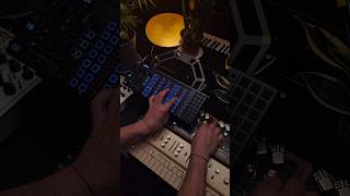 Vongon replay and OXI One #oxione #vongonreplay #vongon #chasebliss  #polyphrase