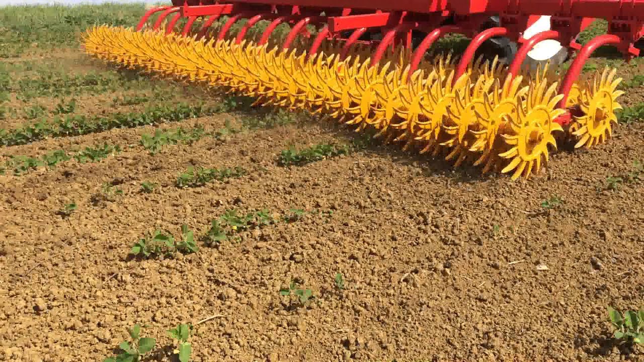 Houe Rotative Gourdin Youtube