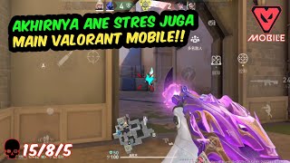 TIM KADANG ANOMALI, KADANG DUELIST TAKUT ENTRY, INI YANG TERJADI!!.... #valorant 