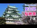 【春に行きたい！】愛知県の桜絶景ベスト7選！ / 名古屋城・鶴舞公園・五条川など / Best 7 Cherry Blossom Viewing Spots in Aichi, Japan