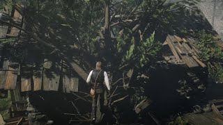RDR2: I found something here