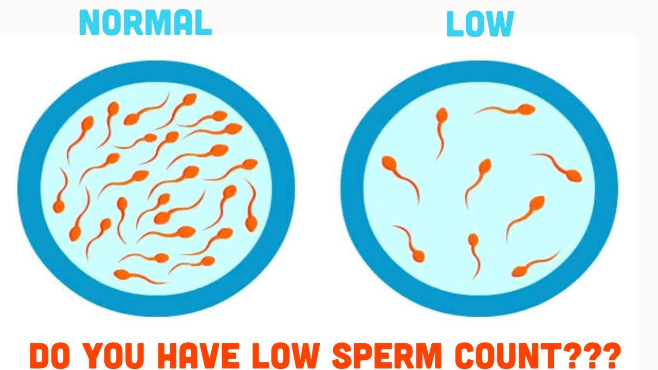DO YOU HAVE LOW SPERM COUNT?FOOD and SUPPLEMENTS TO INCREASE YOUR SPERM