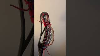 Self strung Epoch Z1