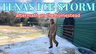 Grateful it wasn’t worse | Tx Ice Storm 2026