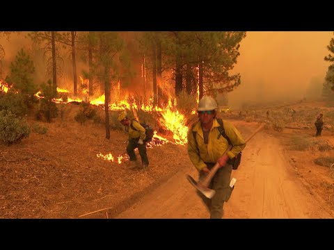 Vídeo: Kennel Club, No Texas, Doa Máscaras De Oxigênio Para Animais De Estimação Aos Bombeiros Locais