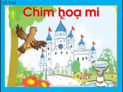 Video Kể chuyện lớp 1: Chim hoạ mi - youtube