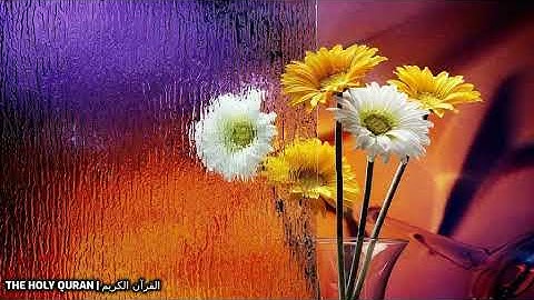 #سورة_الجن بصوت القارئ اسامة صبحي حسين #تلاوة #القرآن_الكريم #قرآن #القرآن #قران