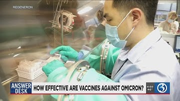 Video: Doctors weigh in on efficacy of vaccines