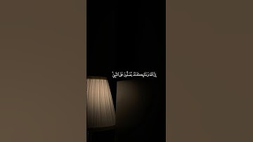 سورة الأحزاب :56 #quran #surahalahzab #اكسبلور #المصحف #shortfeed