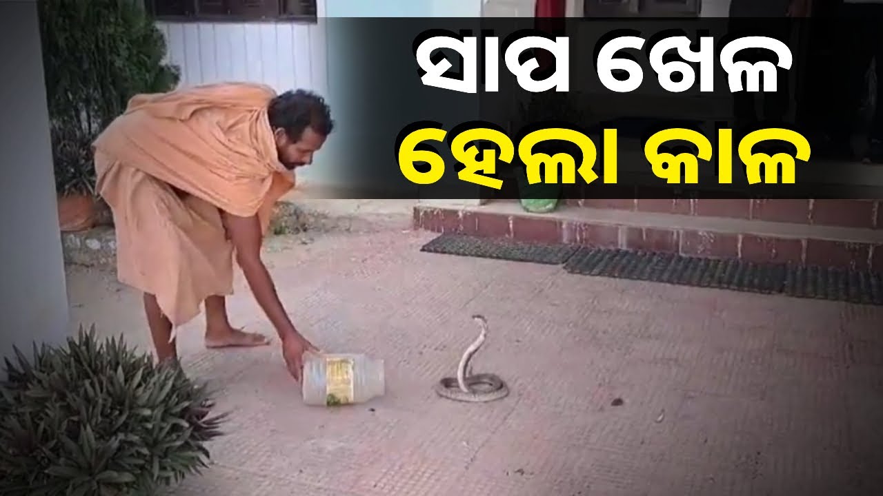 ଥାନା ପରିସରରେ ସାପ ଖେଳାଇବାକୁ କହିଥିଲା କିଏ ?