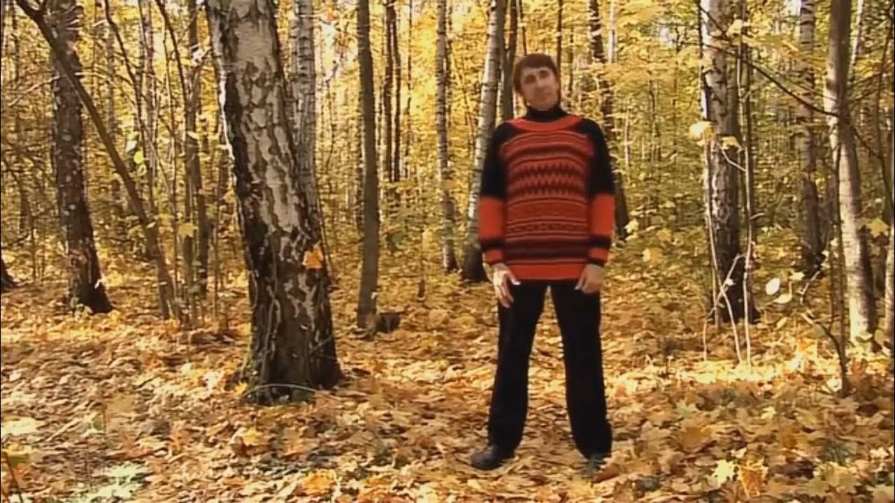 гимнастика стрельниковой 11 минут. гимнастика стрельниковой упражнения 12 минут. стрельников дыхательная гимнастика. дыхательная гимнастика стрельниковой видео щетинин занятие. гимнастика стрельниковой 11 минут.