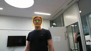 Face tracking pan tilt system
